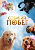 Собачий побег смотреть онлайн (2023)