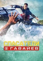 Спасатели Гавайев смотреть онлайн сериал 1 сезон